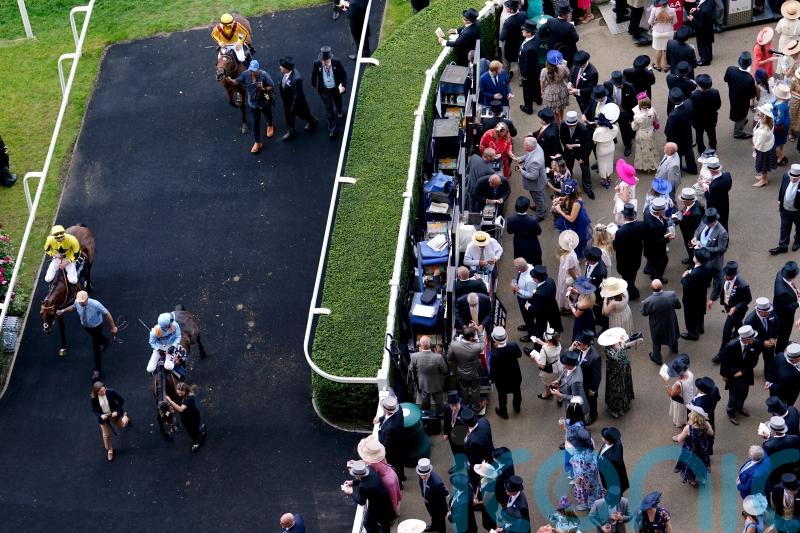 Queen Mary runner-up Maylandsea heading for Newmarket