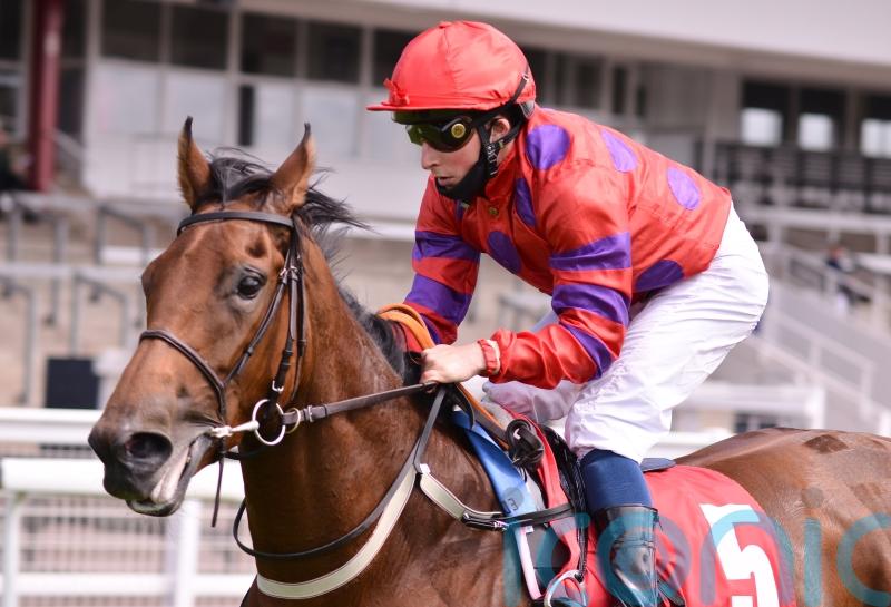 Pretty Polly plan for Dreamloper – but rain would be a concern
