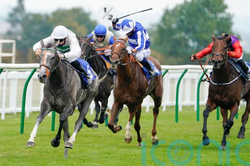 Alpinista pencilled in for Saint-Cloud return