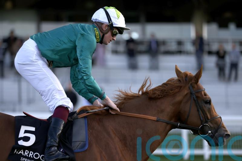 Scope put down after gallops accident