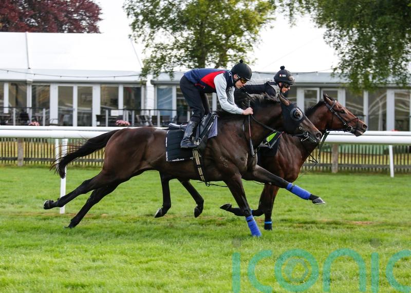 Artorius pleases in Newmarket spin before July Cup bid