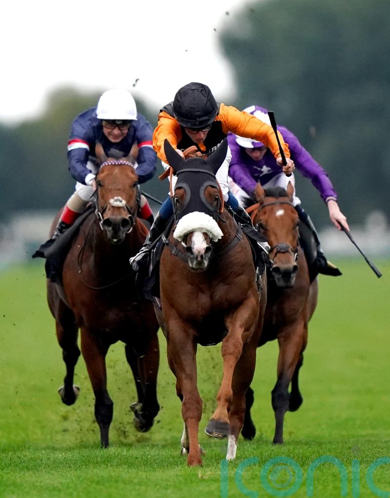 ‘Rapid’ Raasel all set for Sandown Charge