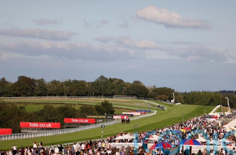 McConnell eyeing Stewards’ Cup with Coachello