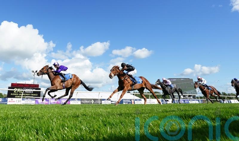 Tagline set for Lezoo rematch at Newmarket on Friday