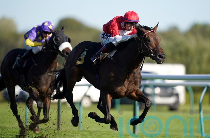 Rogue Bear up for the Cup at York this weekend