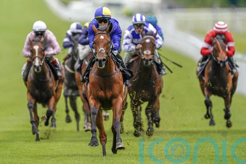 Connections expecting ‘very big run’ from Flotus at York