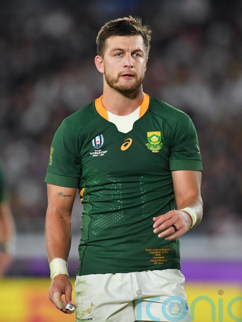 Handre Pollard: South Africa will not take a step back against Wales