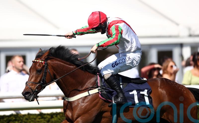 Bowen has Francky primed for Plate repeat bid