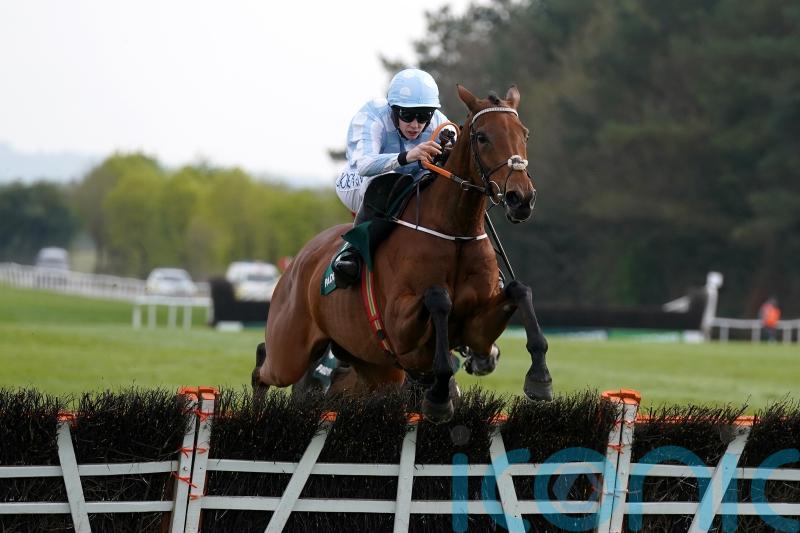 Hatton’s Grace again on the agenda for Honeysuckle