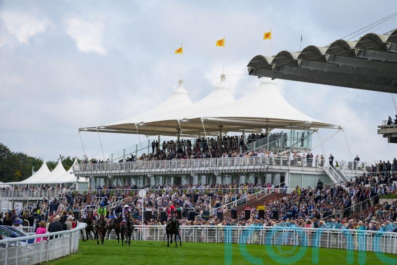 Jiffy out to bag Vintage victory for Brisland