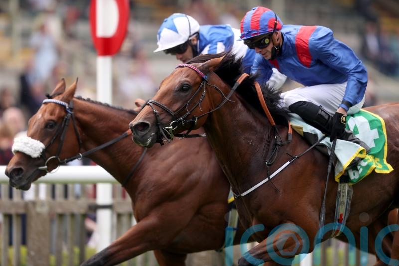 Classy Dubai Honour back in domestic action at York