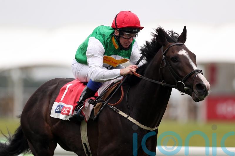 What might have been, but Dwyer thrilled to see Pyledriver rule in King George