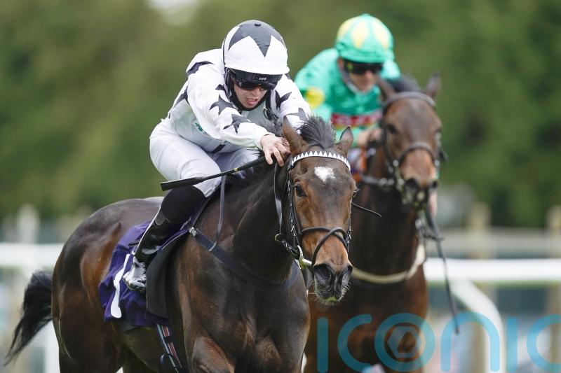 Oscula makes swift return in search of Oak Tree honours