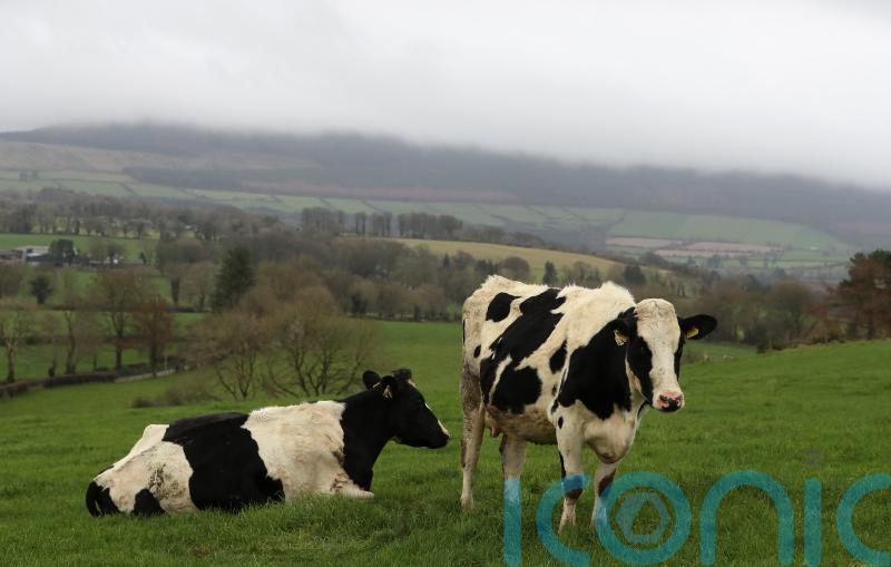 All sectors will have to stretch themselves to meet emissions targets – Martin