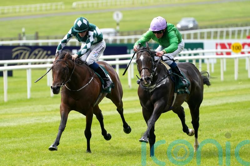 Deauville ground key to Brad The Brief outing