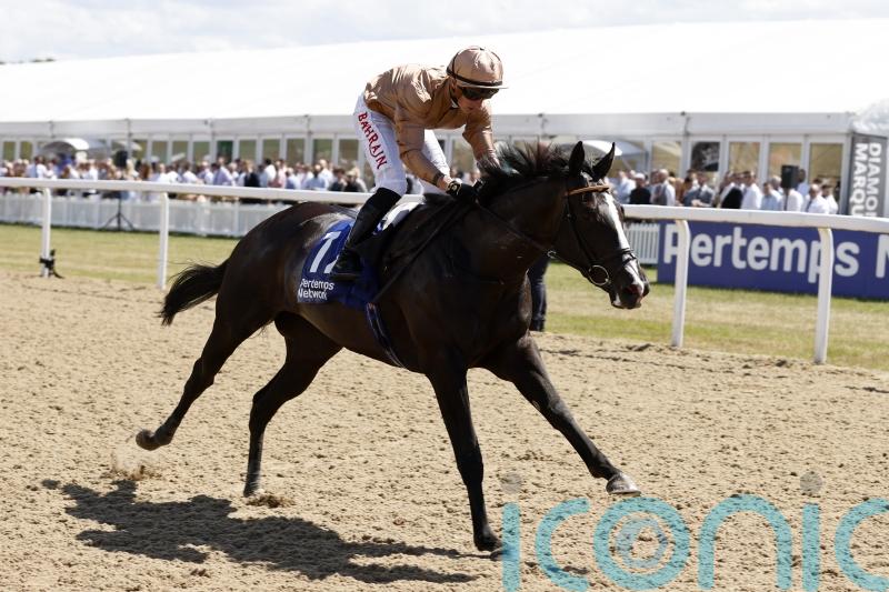 Big-race plans on hold for Haggas stars pending rain