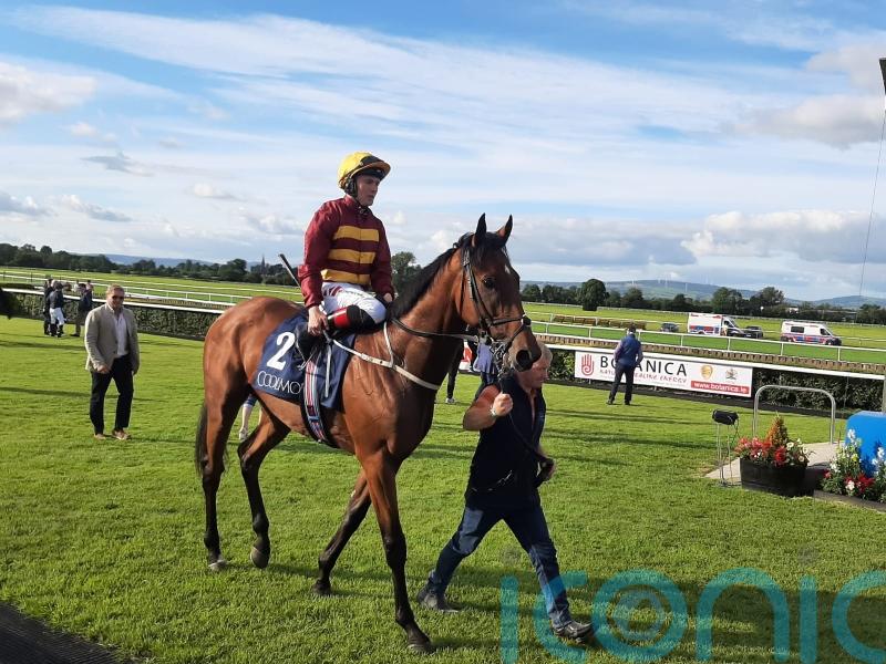 Well-regarded Lyons-trained Hellsing back on the winning trail 