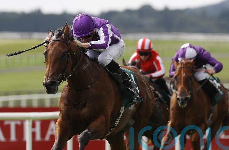 ‘When he let him go it was all over’ – Little Big Bear sensational in Phoenix Stakes