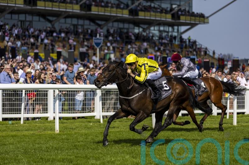 Fahey eyeing autumn options for Perfect Power