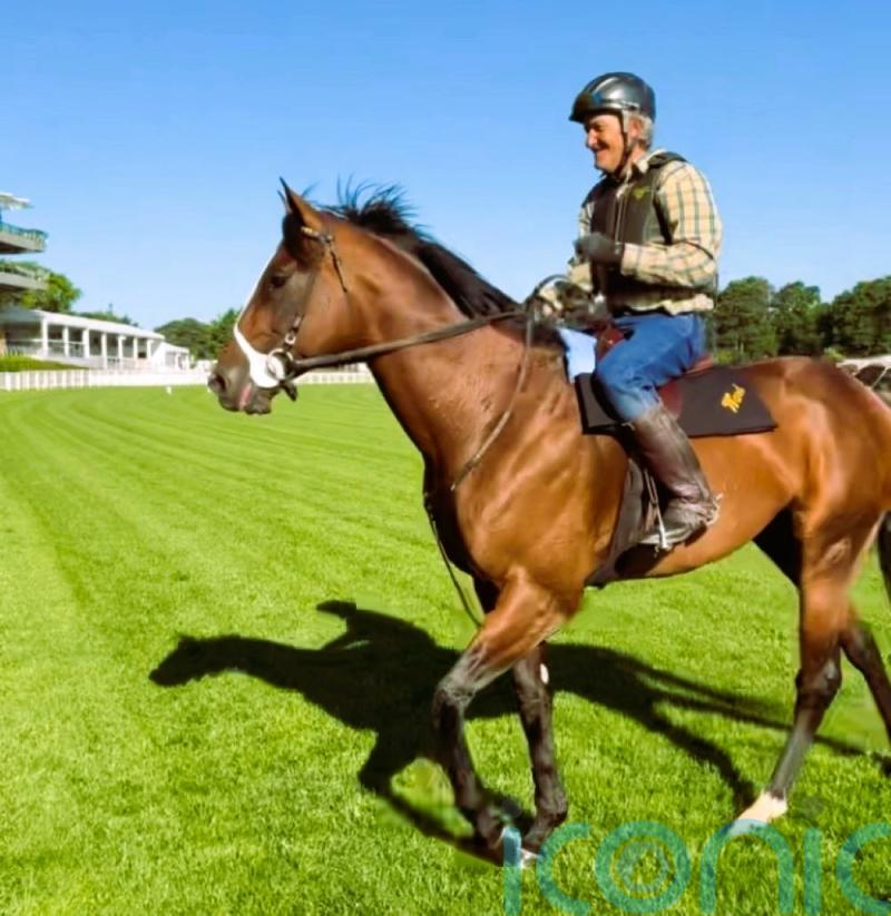Ward sets out Breeders’ Cup hat-trick aim for Golden Pal