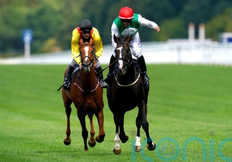 Pyledriver in great form, with plan still to head straight to Paris