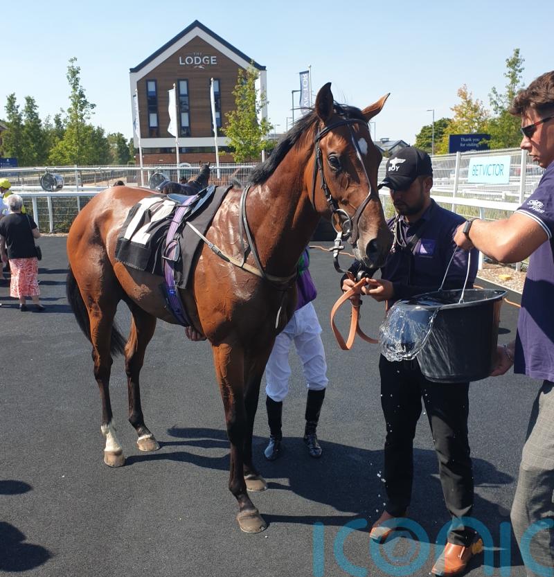 Oj Lifestyle shocks Newbury field with 125-1 success