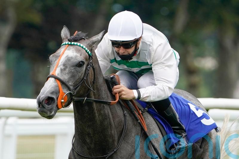 First domestic Group One in sight for Arc hope Alpinista