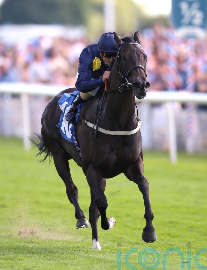 James Tate and Royal Aclaim bidding for Nunthorpe ‘home’ win