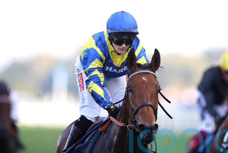 Quick ground scuppers Trueshan’s York challenge