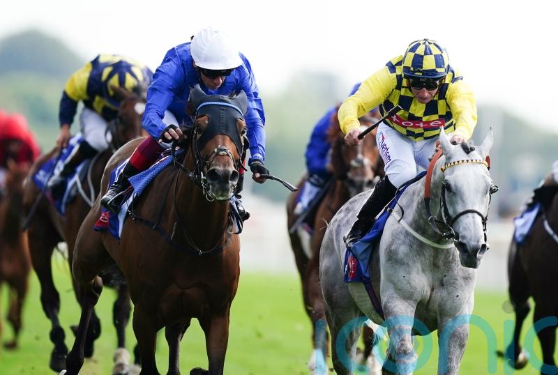 Melbourne Cup features in number of exciting choices for Alfred Boucher