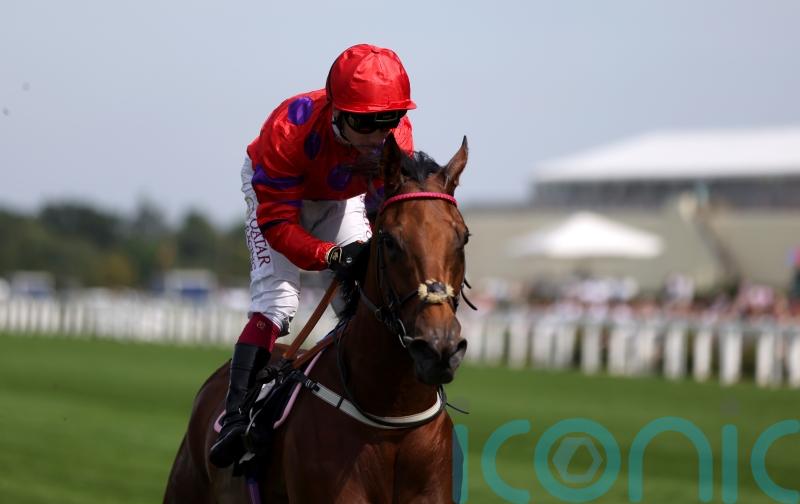 Matron ‘Plan A’ for Dreamloper, but Moulin entry gives backup plan