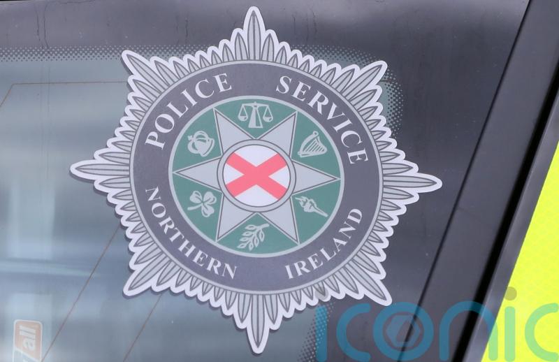 Witnesses sought after Co Down man attacked with knives and hammers