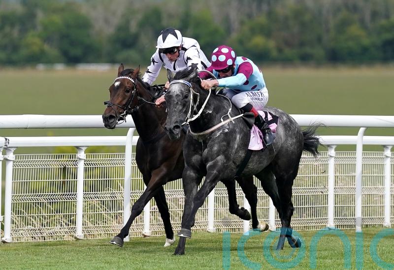 Internationalangel could be set for Breeders’ Cup adventure