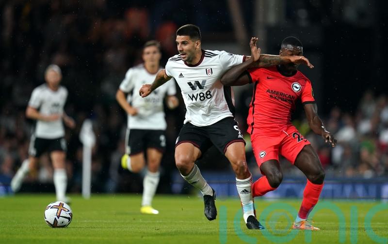 Aleksandar Mitrovic was unbelievable – Marco Silva hails star striker