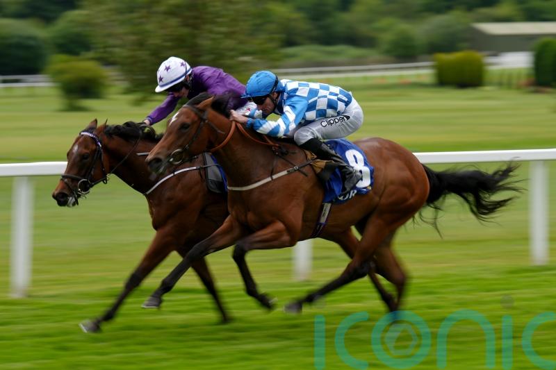 O’Meara banking on ‘sharper’ Maria Branwell at Salisbury