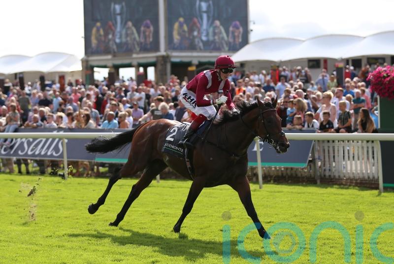 Mishriff confirmed on course to take Irish Champion chance