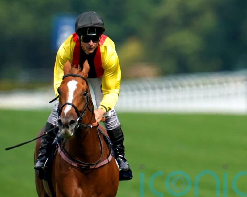 Dettori teams up with Arc hero Tasso