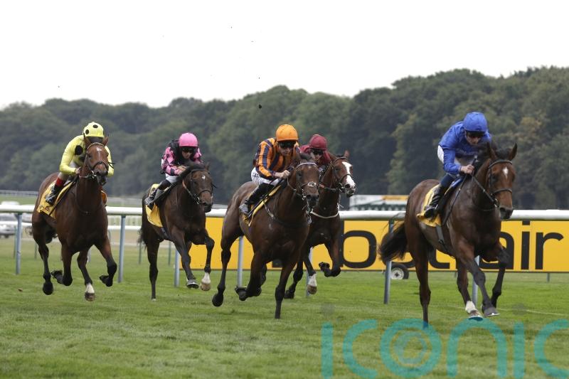 Naval Power rises to the top in Ascendant Stakes
