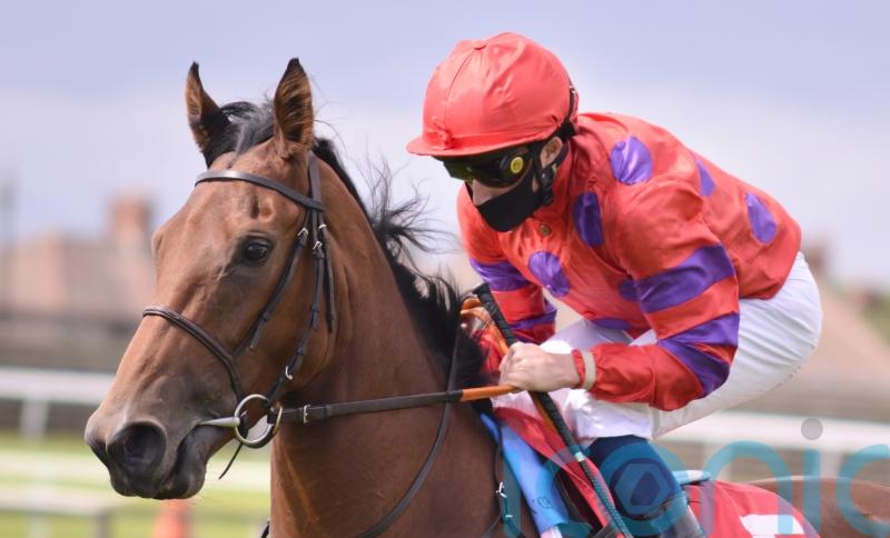 ‘Serious performance’ from Dreamloper points towards Breeders’ Cup