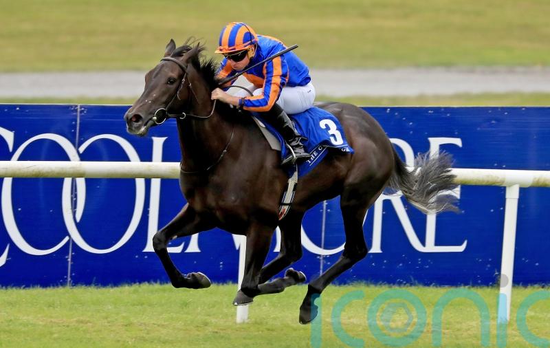 Meditate aiming to stay unbeaten in Moyglare mission