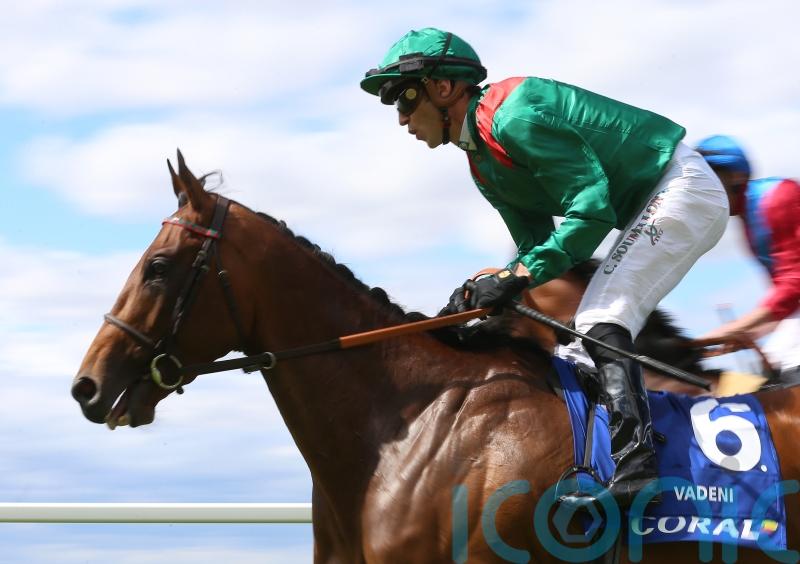 Ascot likely focus for Vadeni, with Arc ruled out