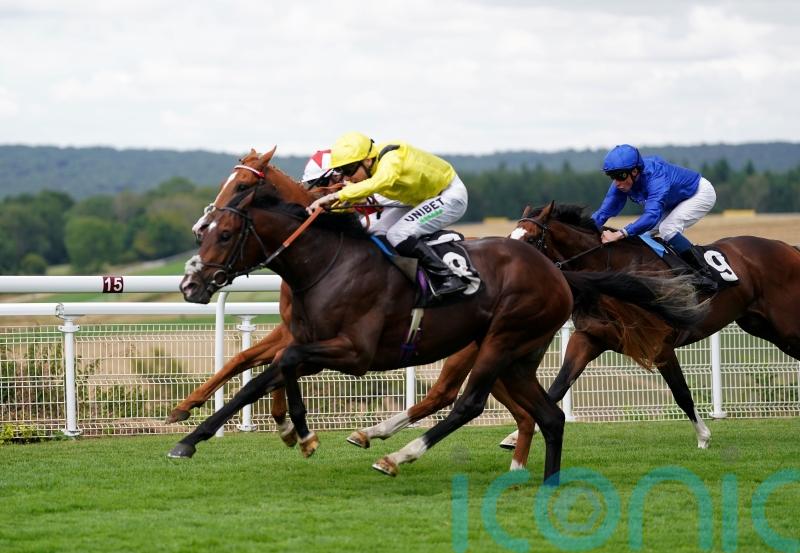 Fellowes looking towards Dewhurst, after ground dashed Marbaan hopes