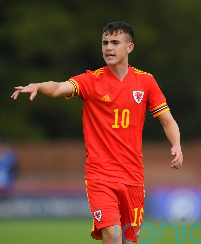 Luke Harris earns chance to impress Wales ahead of World Cup