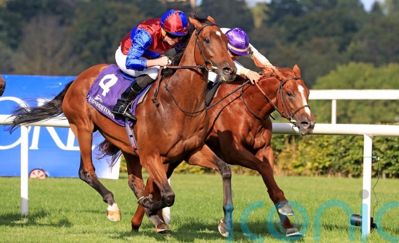 O'Brien to put Luxembourg through 'maintenance work' between now and Prix de l’Arc
