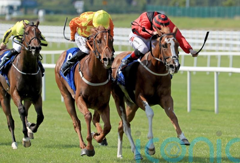 Meditate, Trillium and Treasure Trove set to do battle at Newmarket