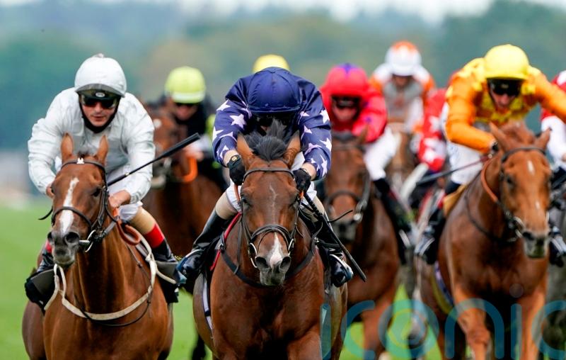 Island Brave aiming for Listed honours at Newmarket