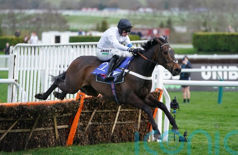 Buckley points to Ascot or Newcastle for Constitution Hill return