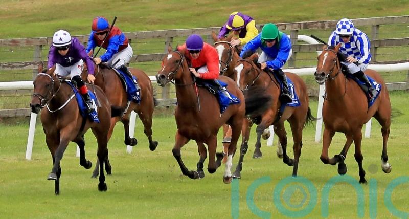 O’Callaghan confident Olivia Maralda can make Rockfel impact