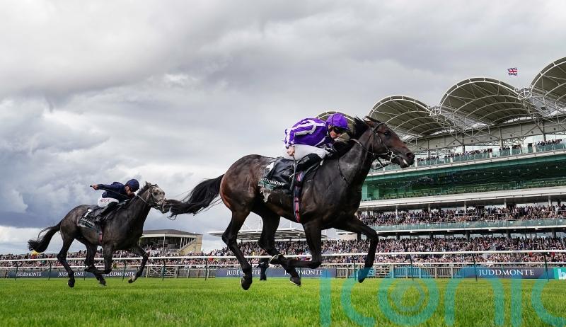 Blackbeard in Breeders’ Cup frame following Middle Park glory