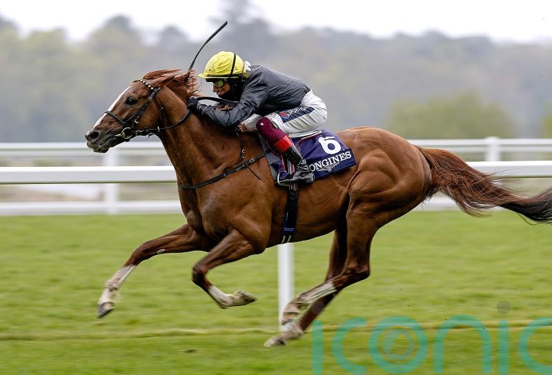 Nielsen feels timing was right as Stradivarius heads to stud